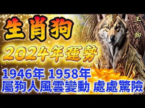 1958 生肖|【1958年農曆生肖】驚！1958「狗年」命運超強！揭秘你的生肖。